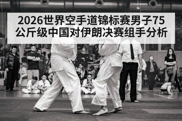 2026世界空手道锦标赛男子75公斤级中国对伊朗决赛组手分析