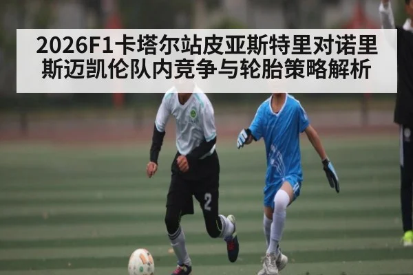 2026F1卡塔尔站皮亚斯特里对诺里斯迈凯伦队内竞争与轮胎策略解析
